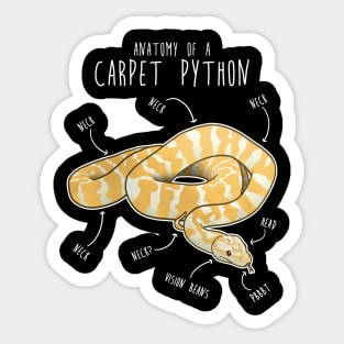 Albino Darwin Carpet Python Snake Anatomy Sticker